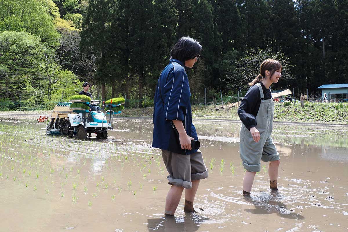 田んぼに足を踏み入れ、泥の不思議な感覚を楽しむ