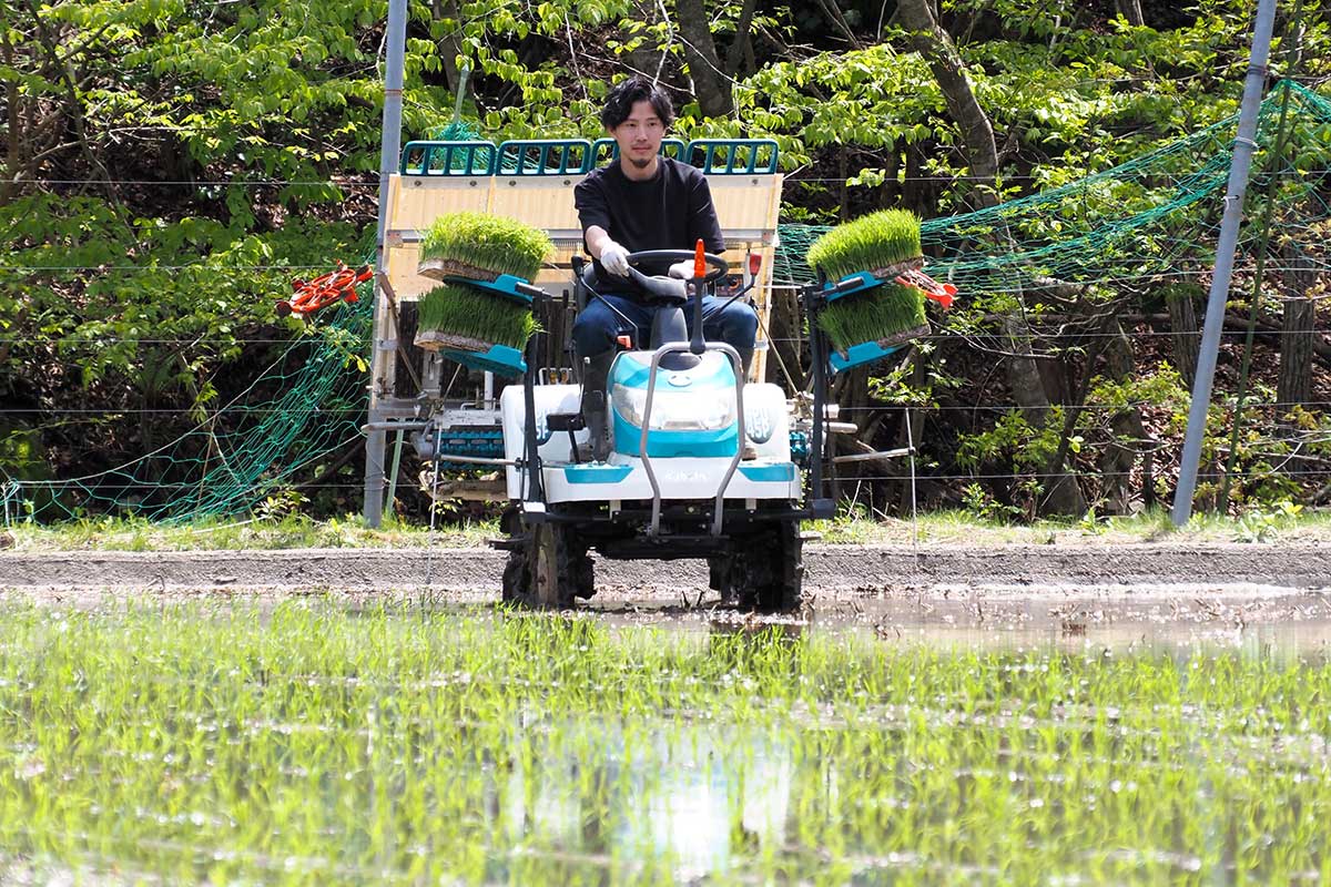 田植え機を動かす大井さん。地域の力も借りて挑戦を続ける