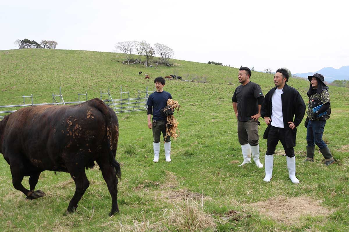 今秋まで牛が無事に過ごせるよう願いを込めるエム牧場のスタッフら