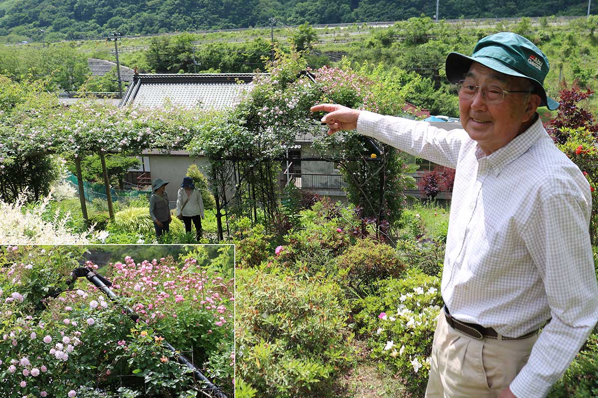菊池秀明さん（右）が3種のつるバラを這わせた棚は上から見ても素敵