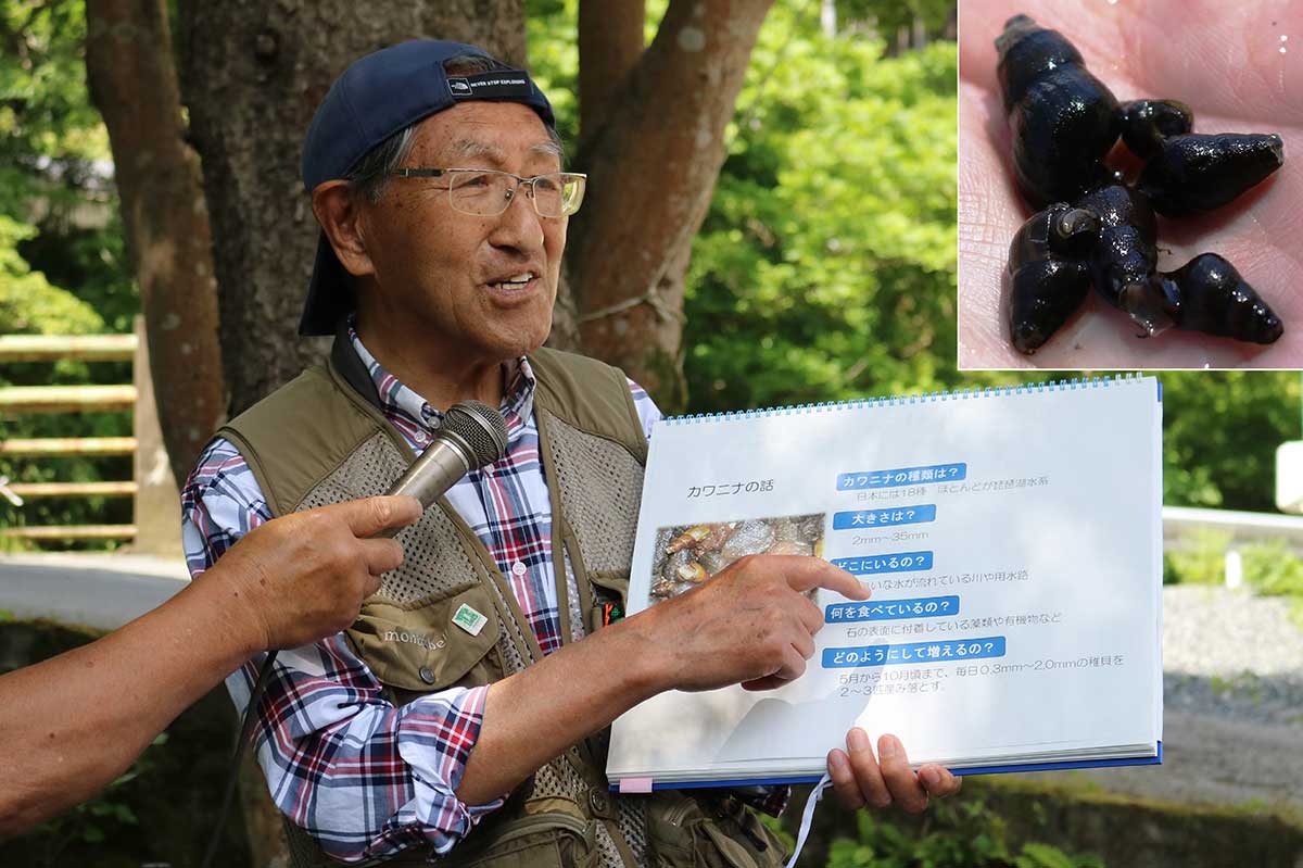 カワニナやホタルの生態について教える釜石ホタル友の会の臼澤良一会長