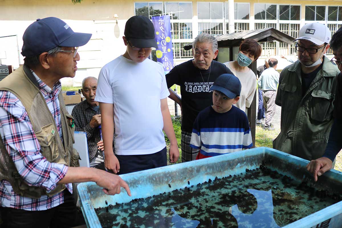 小川川上流で採集したカワニナに参加者も興味津々