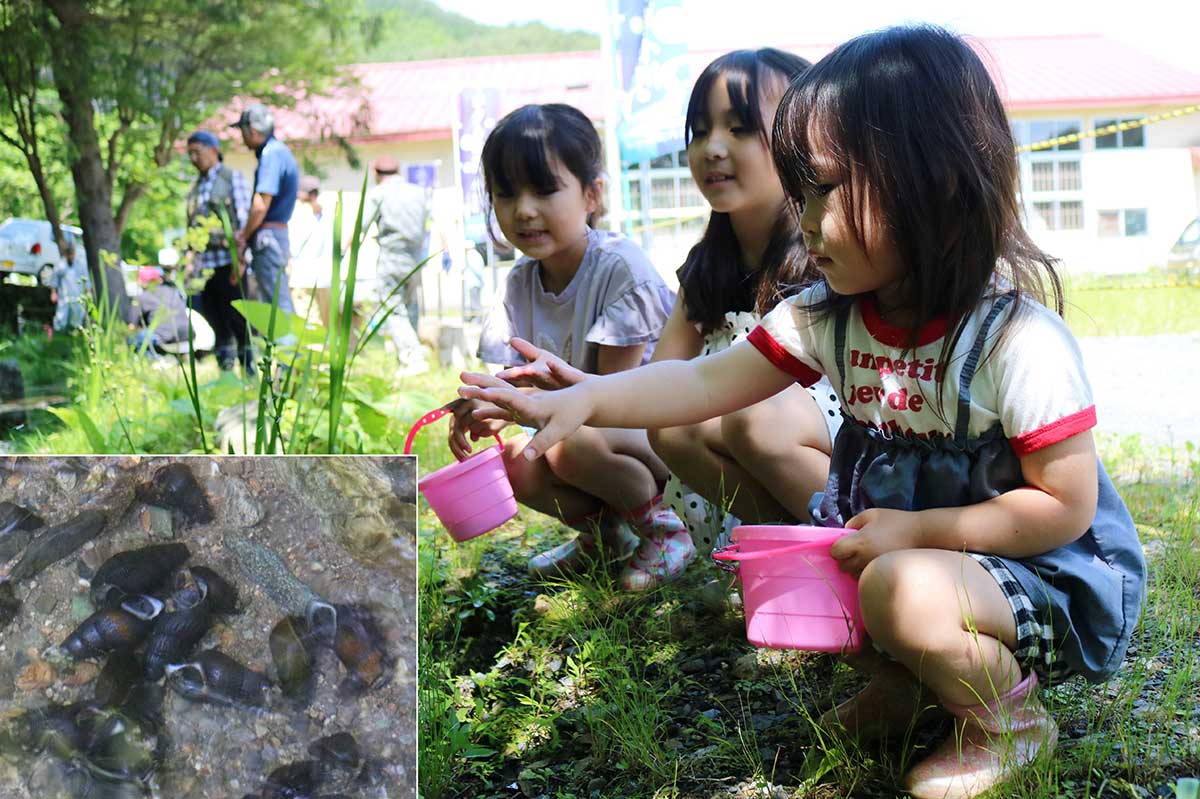 「これからもホタルが見られるように」と願いを込める子どもら