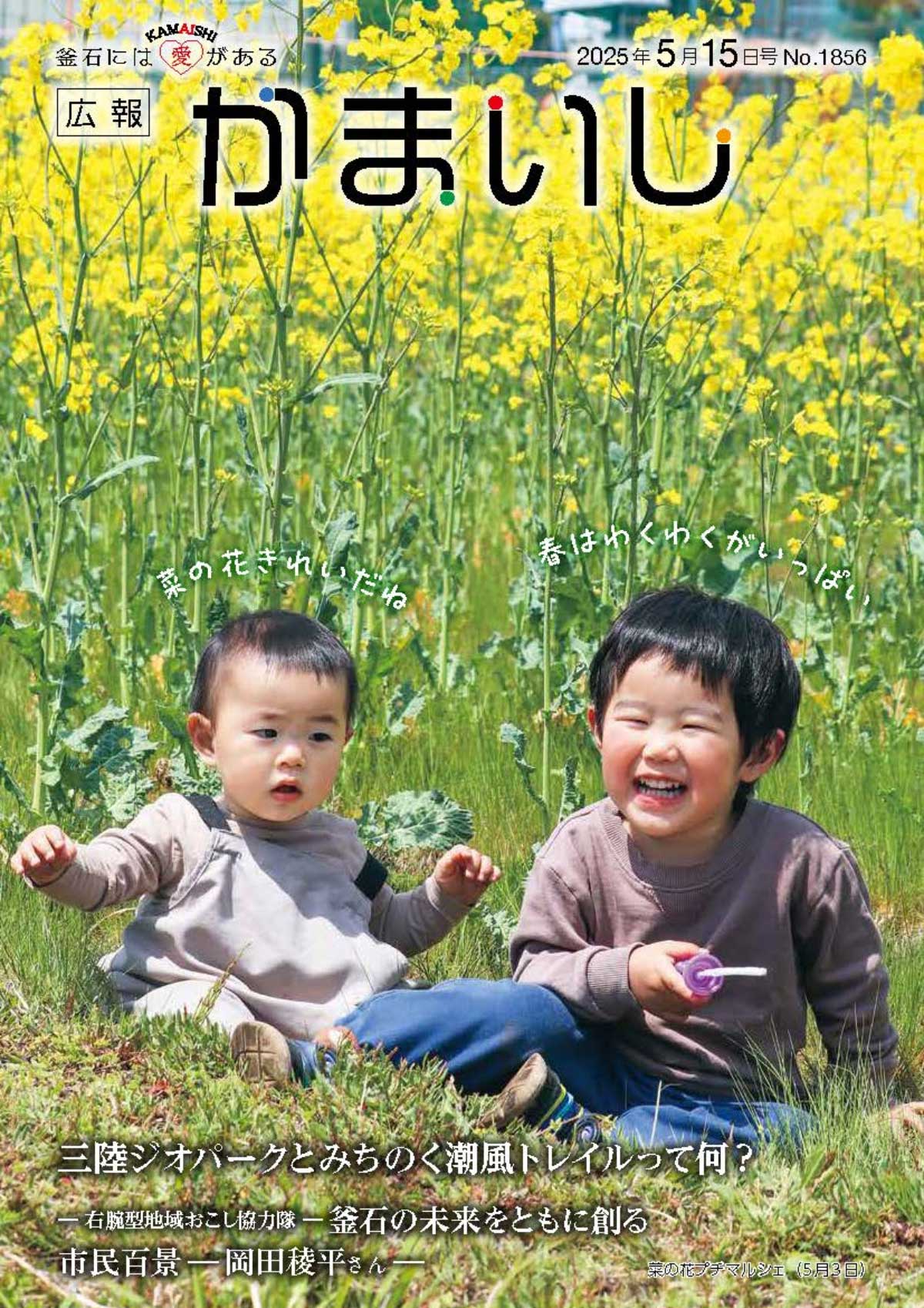 広報かまいし2025年5月15日号（No.1856）