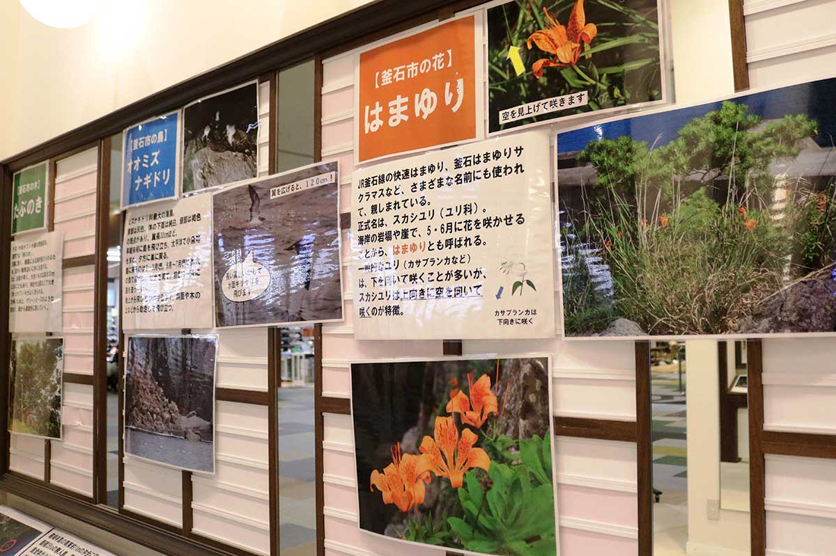 釜石市の花、木、鳥を紹介する展示コーナーで豊かな自然をPR