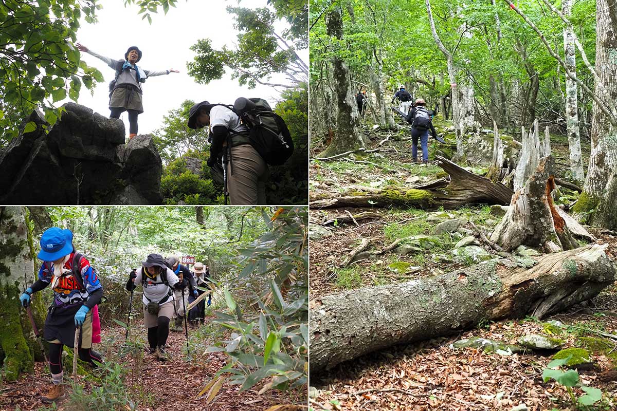 傾斜のきつい道を進むとお立ち台のような岩が。山頂は目前