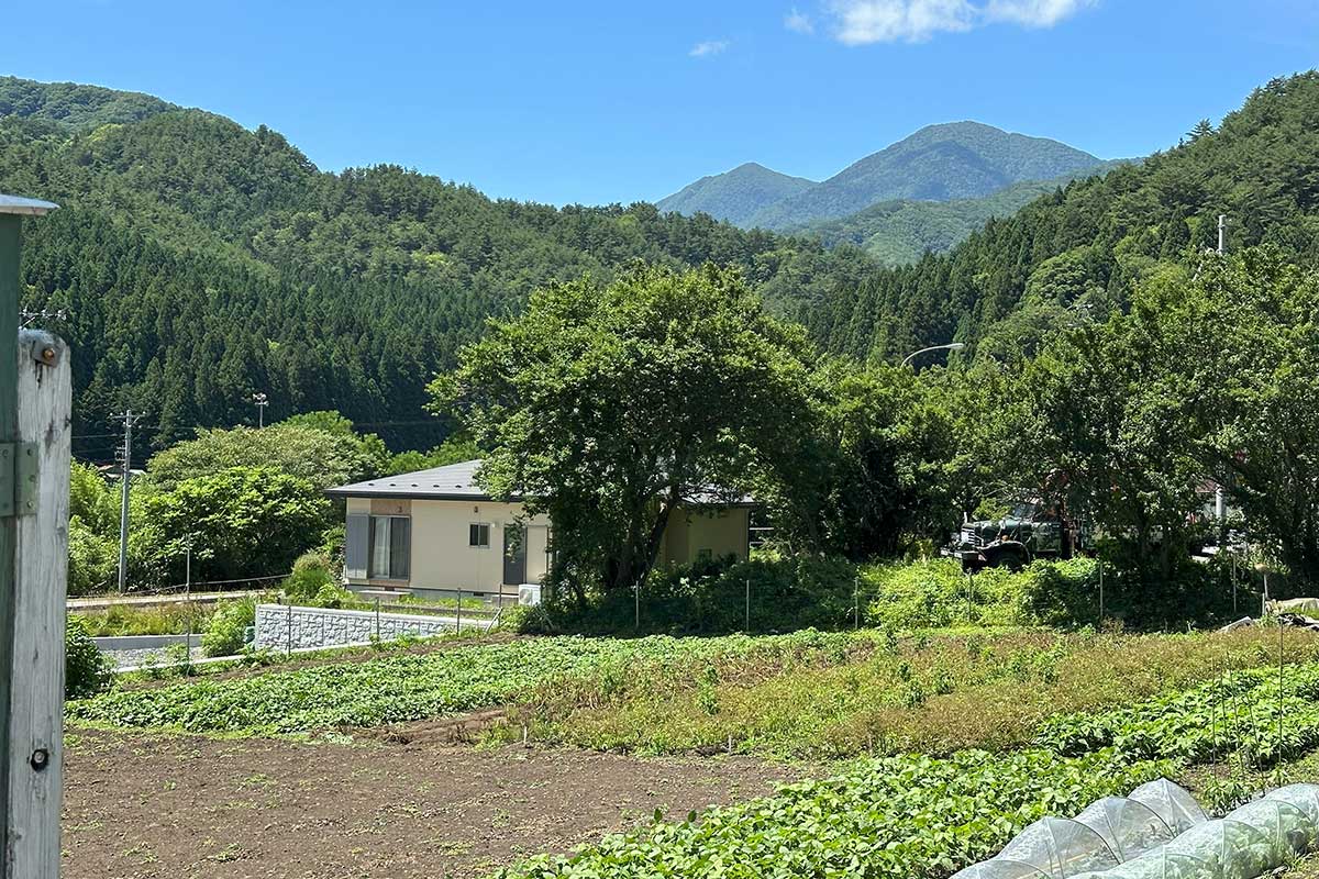 奥に見える双子峰が「片羽（葉）山」で、右側が雄岳