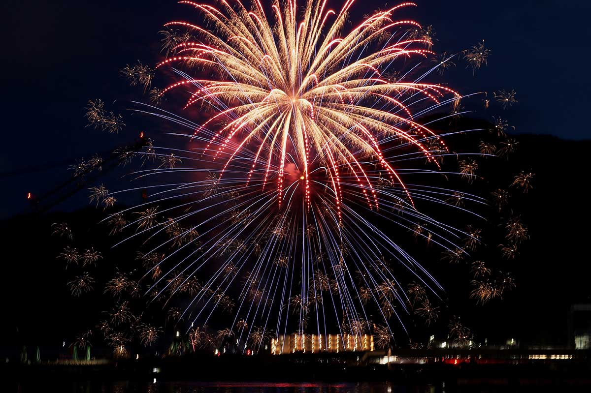 港を彩る色や形もさまざまな花火が観客を魅了