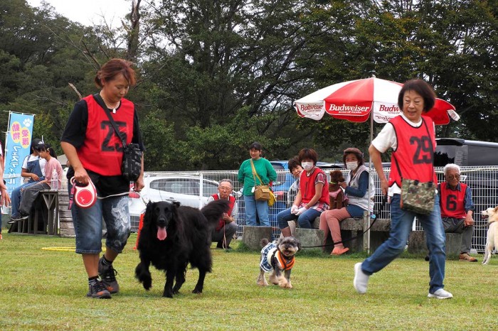 おいで」愛犬との絆 強める 釜石で動物ふれあいイベント 命を守る