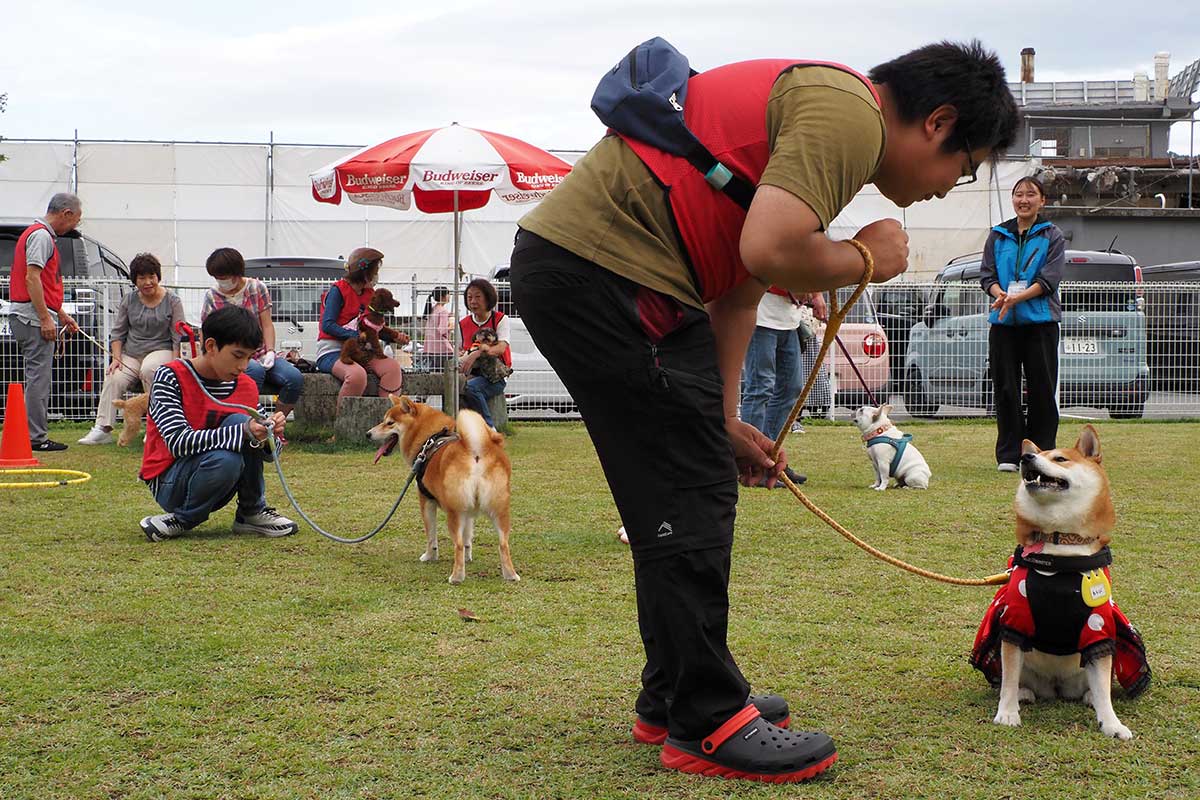 animalfes01