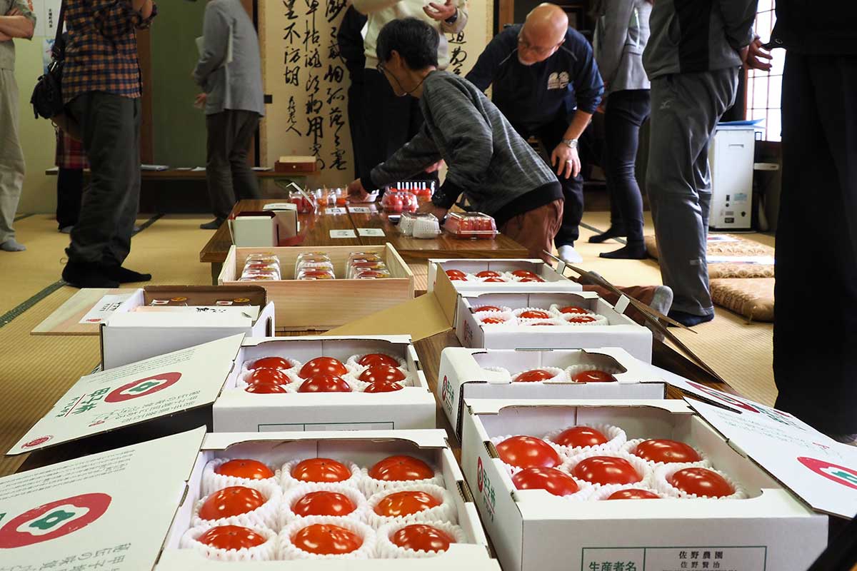 出荷シーズンを迎え、きれいに箱詰めされた甲子柿