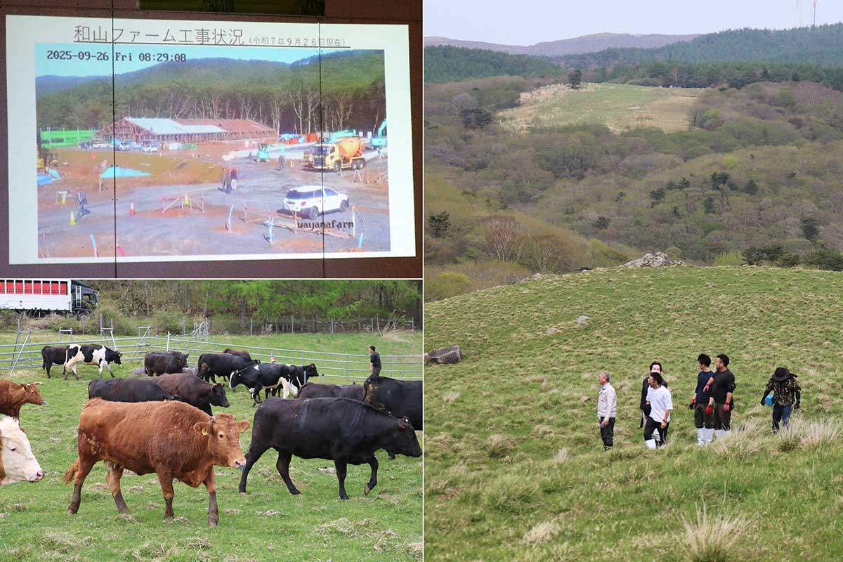 建設中のオヤマの新養鶏場「和山ファーム」(左上) エム牧場は5月から和山で放牧を開始(左下) 今後の釜石市の畜産業振興に期待が寄せられる