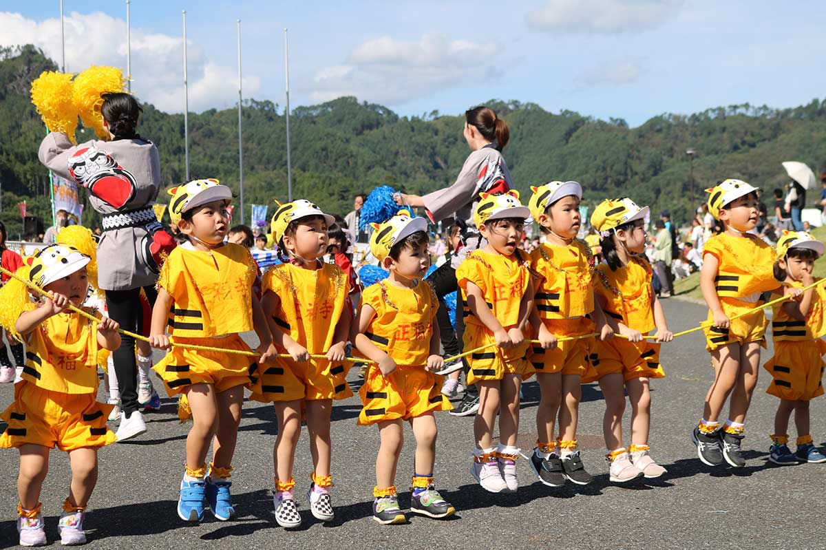 かわいらしい虎の衣装は正福寺幼稚園こどもよいさの伝統