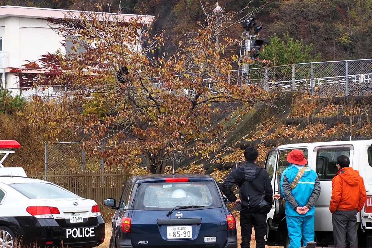 木の上に居座るクマの様子をうかがう関係者