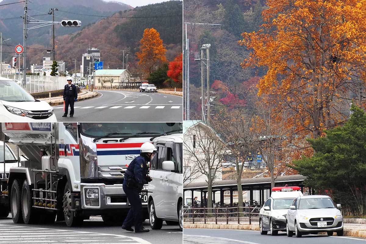 国道283号を通行止めにして緊急銃猟を実施。弾を受けたクマは別の木に移ったが、駆除された