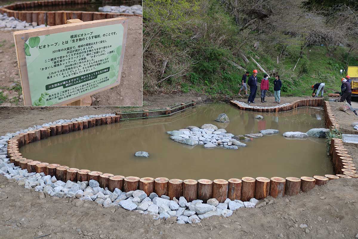 芝グラウンドの西側、山林が隣接する土地に整備された大型の池。解説看板（写真左上）も設置されている