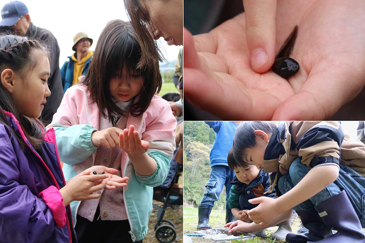 オタマジャクシやカエルの卵に触れてみる。観察後は「元気に育ってね」とリリース