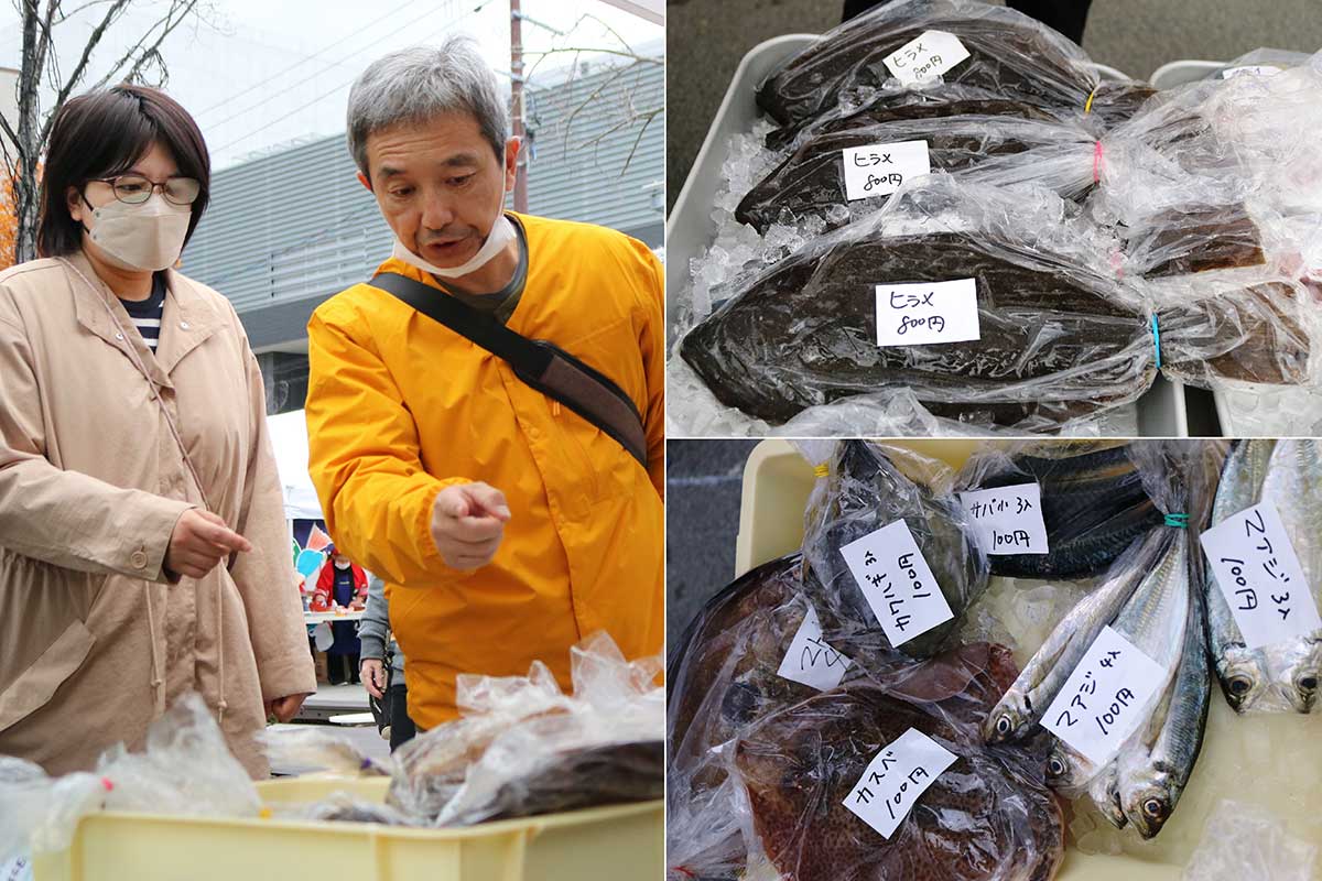 珍しい魚や価格の安さも来場者の目を引いた