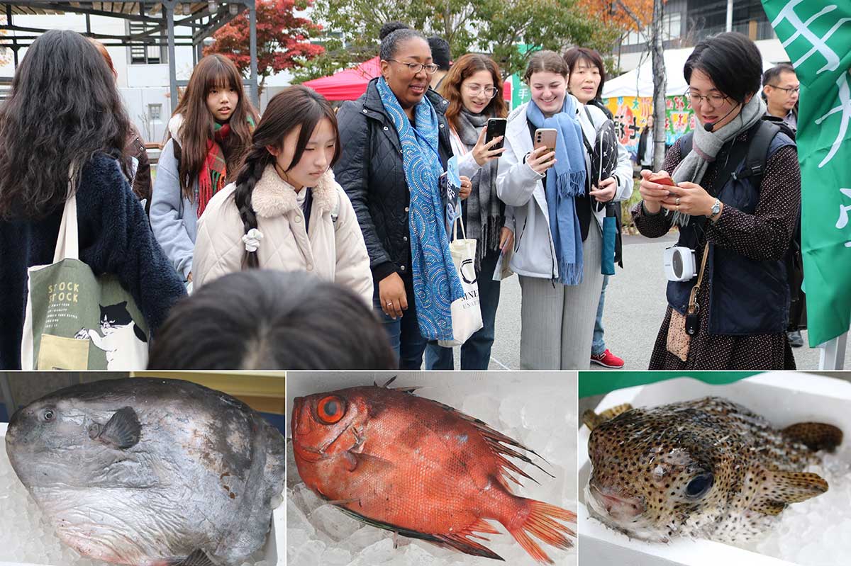 展示用の（下段左から）マンボウ、チカメキントキ、ハリセンボンに興味津々