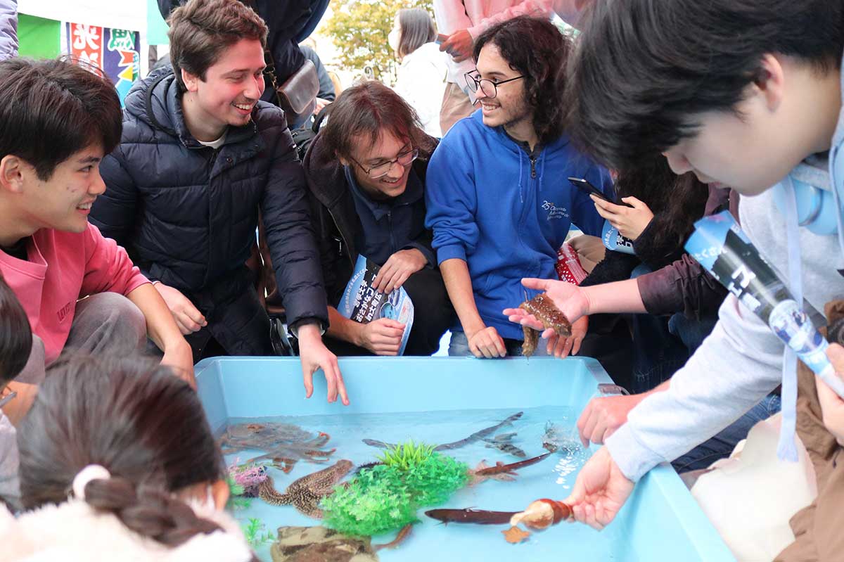 研修で釜石を訪れた外国人学生も釜石の海の生き物にびっくり！