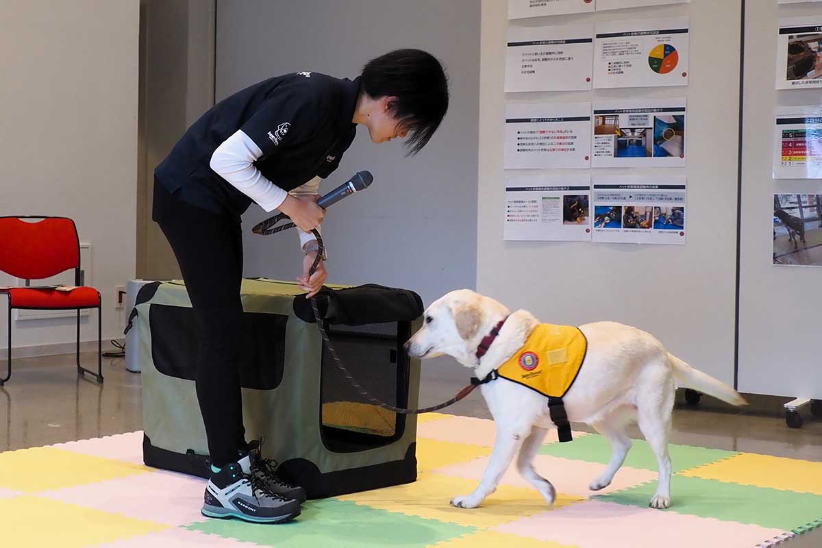 ペット避難につなげるためにはケージに入る習慣づけが大事