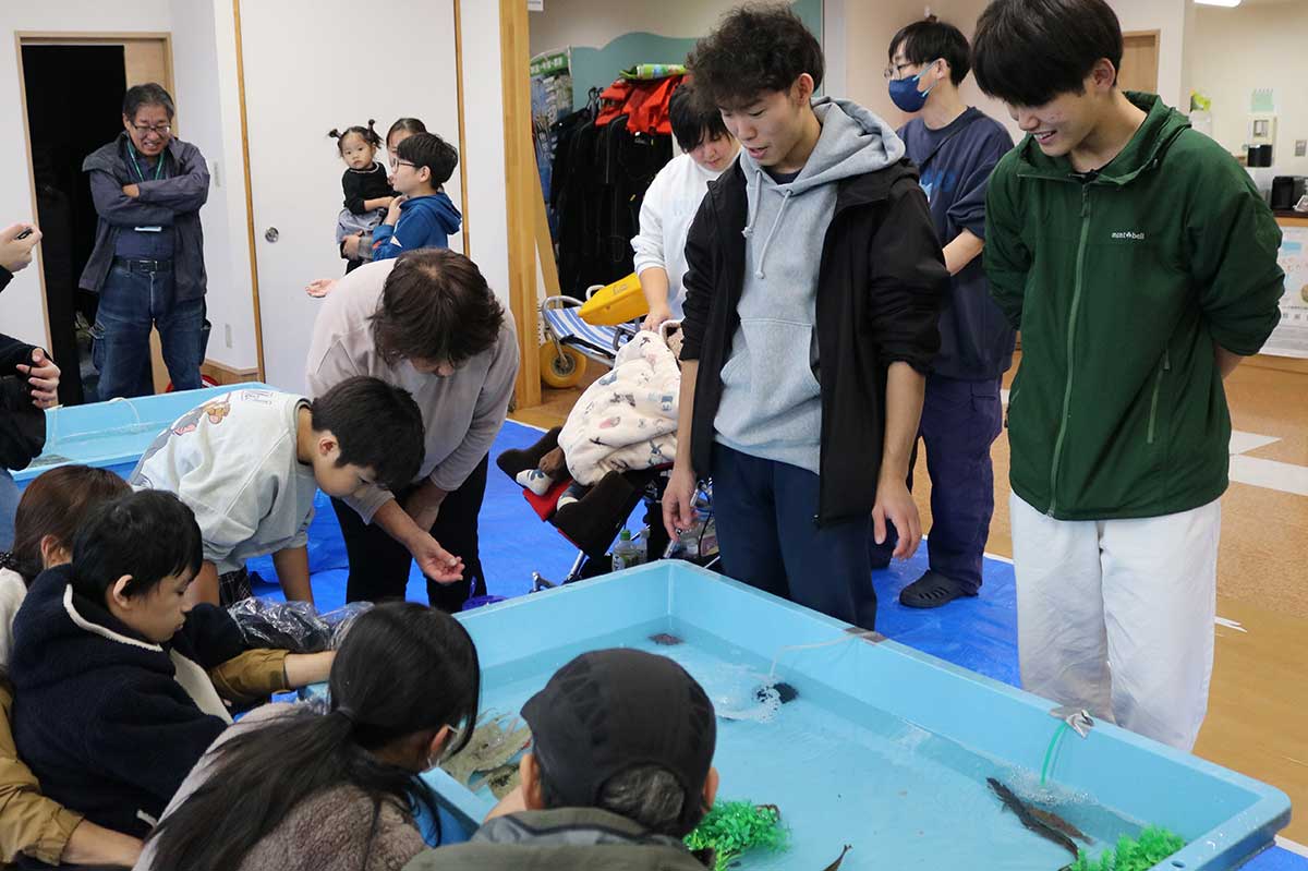 岩手大釜石キャンパスの学生らが釣った魚やナマコ、ウニなどが放たれたタッチプール