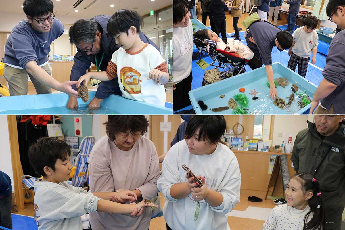 さまざまな海の生き物に触れ、たくさんの思い出を作った