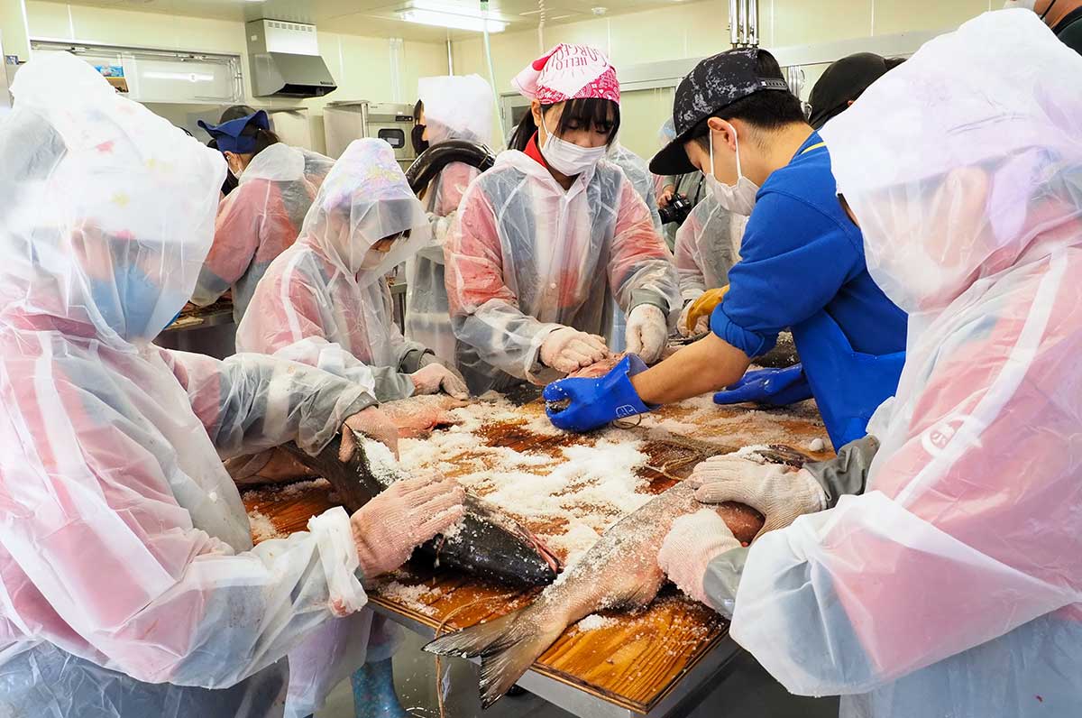 さばいて水洗いしたサケに塩を擦り込む釜石小の児童