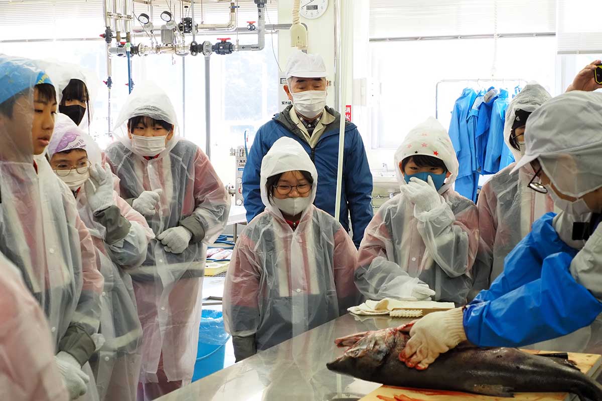 「わ～」「おー」「へ～」とさまざまな表情を見せる児童