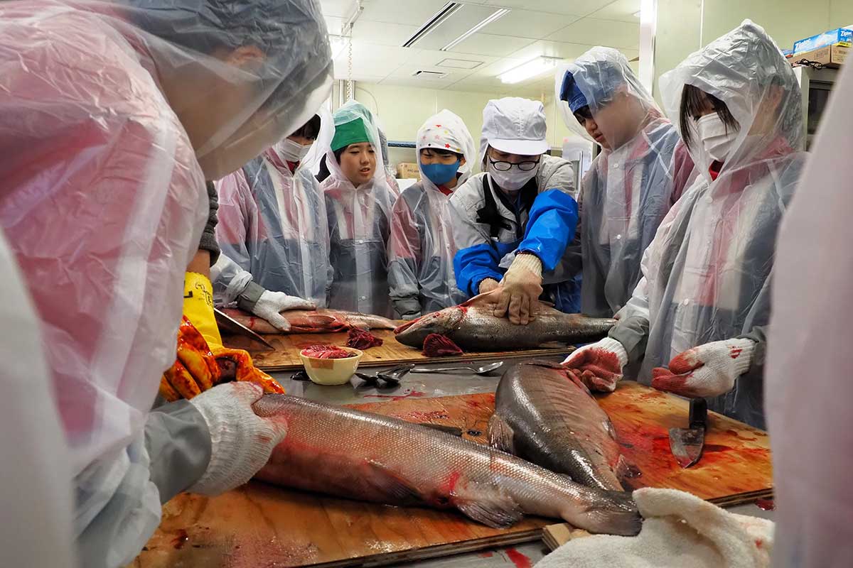 講師に教わりながら魚をさばく子を友達が見守る