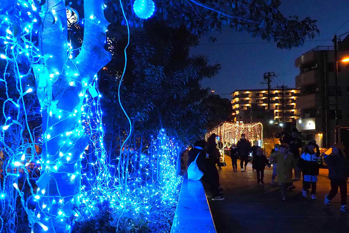 釜石の冬の夜を静かに彩るイルミネーション