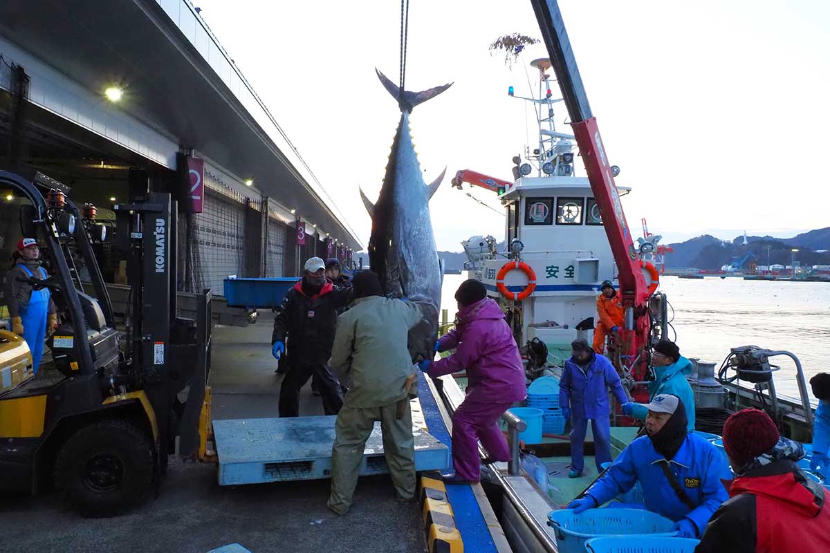 2026年の仕事始め。釜石市魚市場に漁船が入港し活気づいた