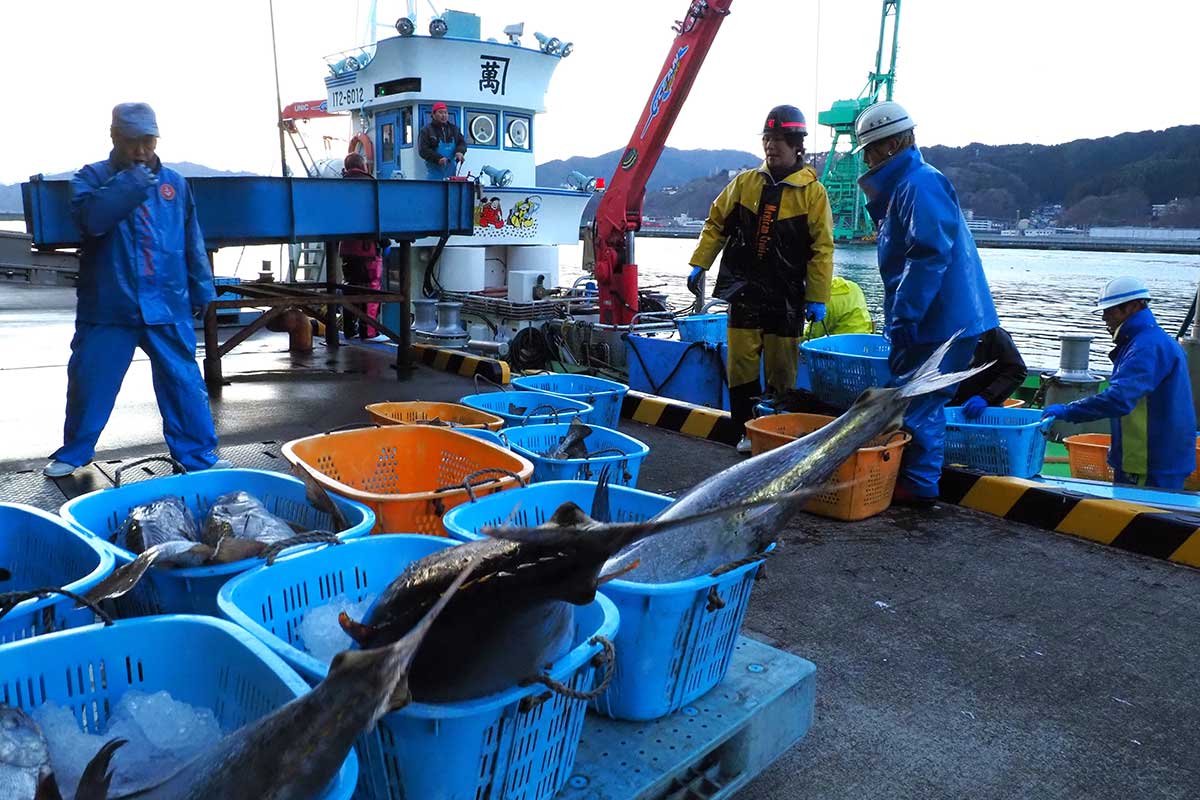 2026年の初漁日。漁船から陸上へ次々と水揚げする漁業者