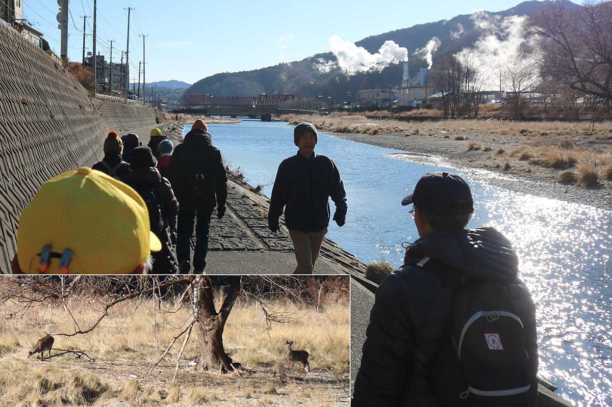 駒木町の甲子川河川敷遊歩道を進む。対岸ではシカ2頭がごあいさつ(写真左下)