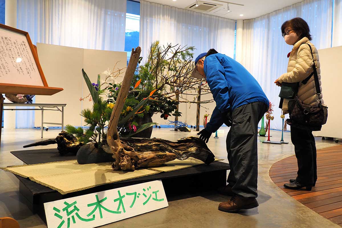 流木を生かした造形美を見せた作品に興味津々