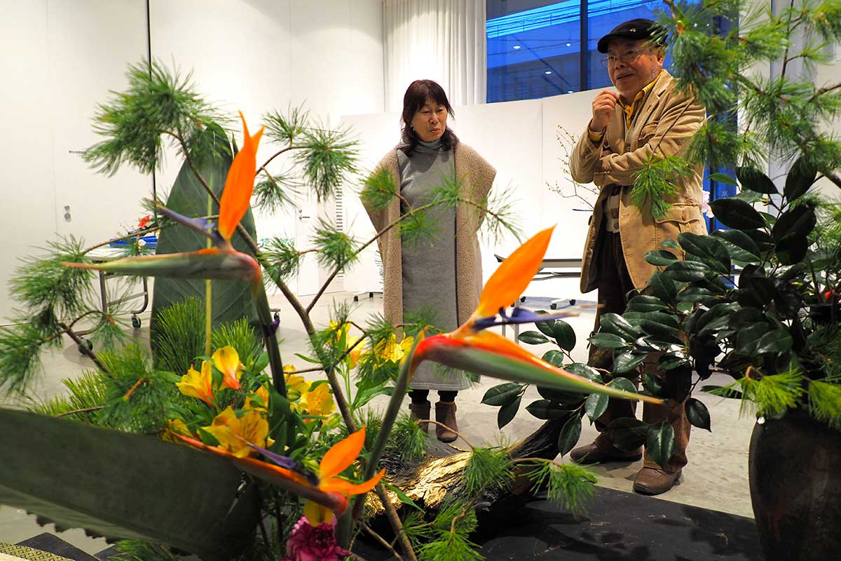 縁起の良い松を3種使い、祝いを込めた「流木オブジェ」