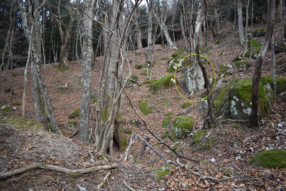 石碑（黄丸）は高炉場ゾーン山神社ブロック西側の国有林内で発見された