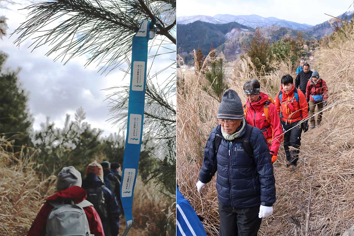 今回の目玉「桜峠」を行く。道沿いの木に“みちのく潮風トレイル”のルートであることを示す青タグが取り付けられている
