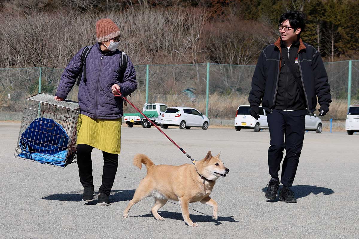 避難所担当の市職員の案内でペット指定場所に向かう飼い主と犬(ペット同行避難実証テスト)=甲子小、21日