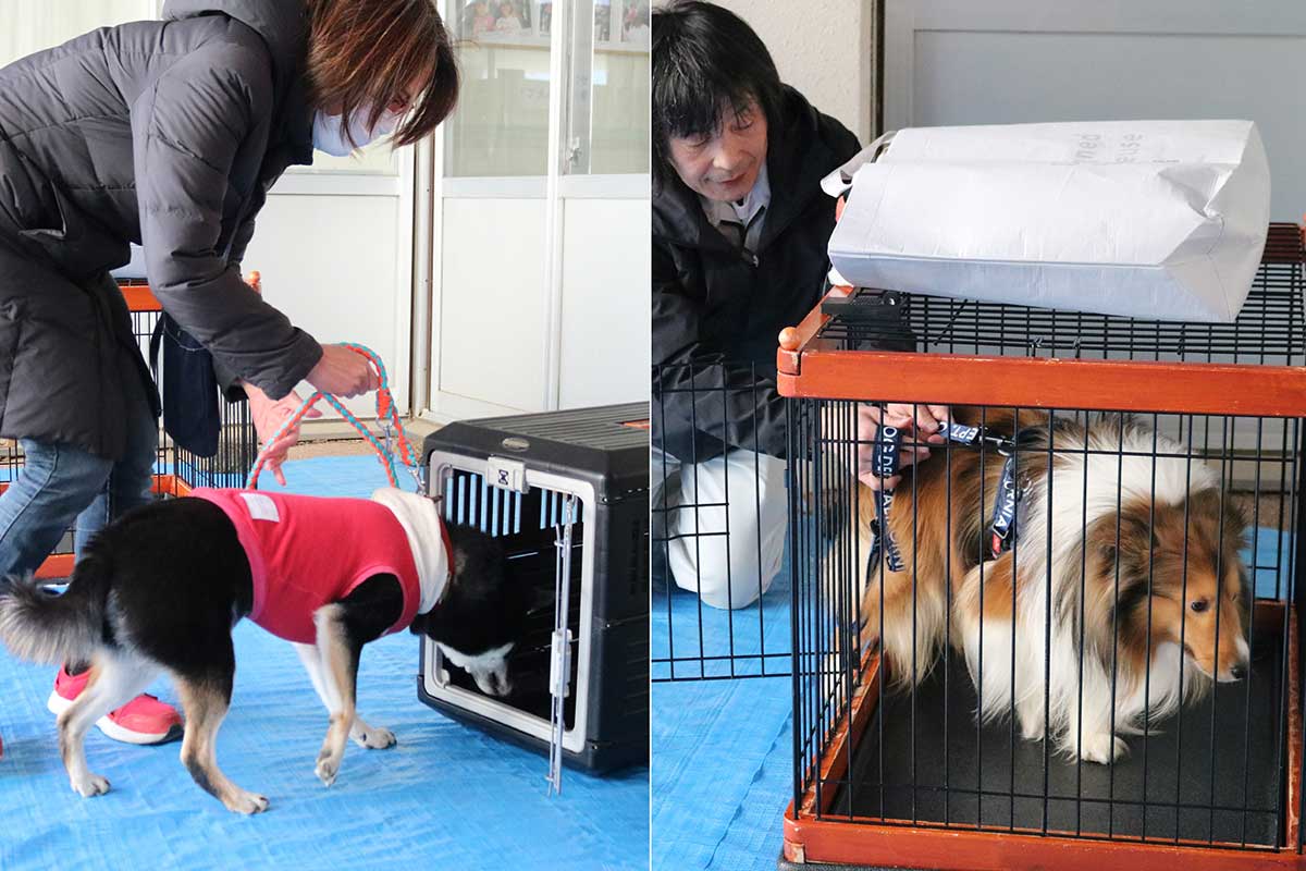 飼い主が持参したケージやクレートを指定場所に設置し、ペットを入れる