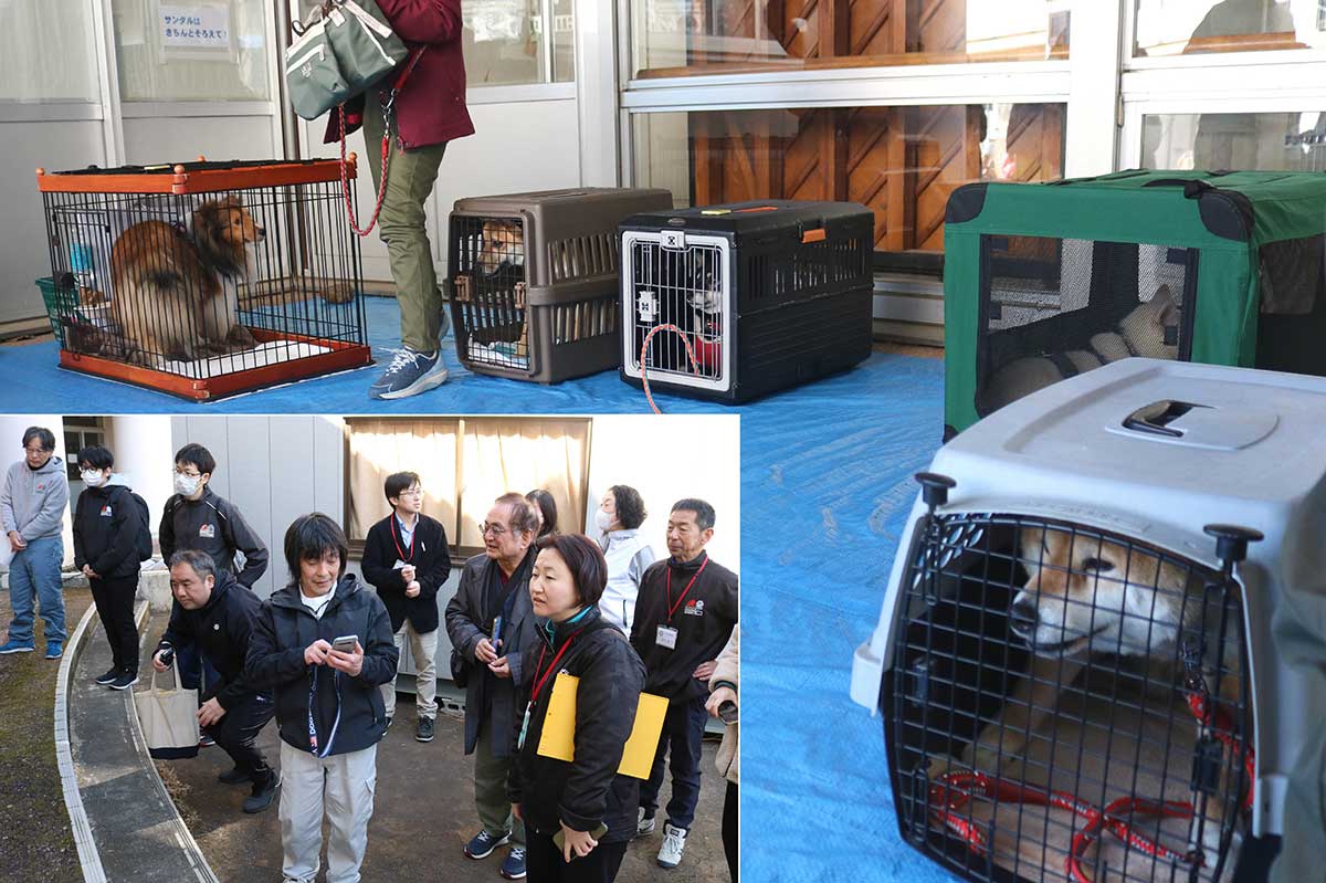 ペットの様子を飼い主や市職員らが観察。日頃からケージやクレートに慣れさせておくことが大事