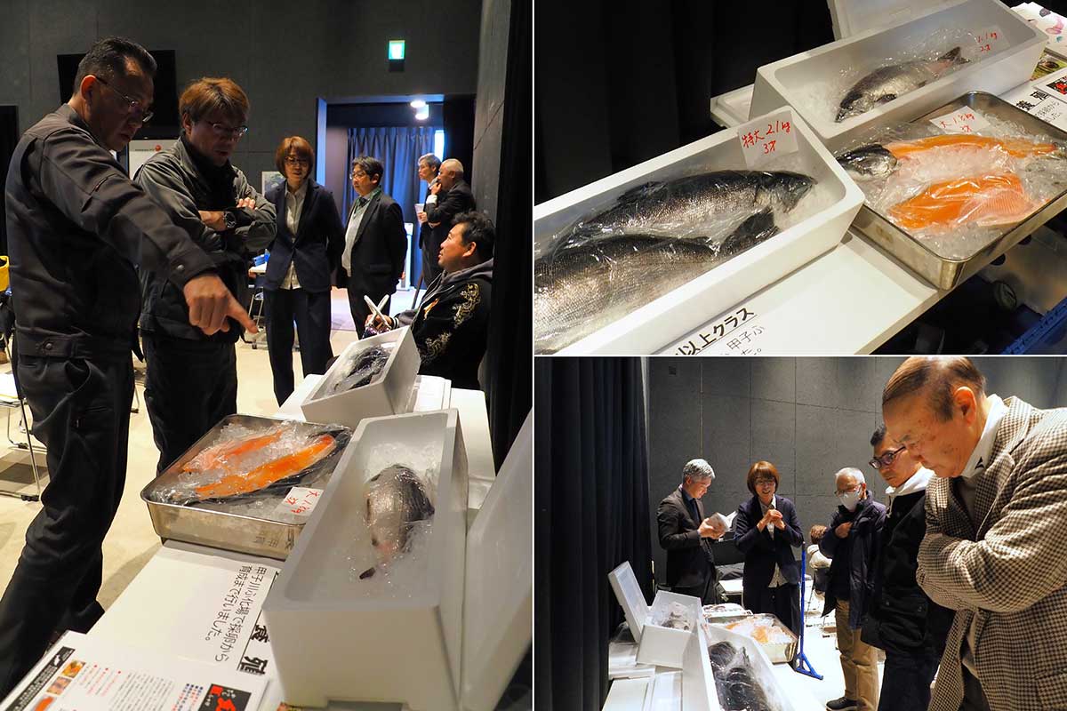 釜石で育ったヒメマスに関心を示すフォーラム参加者