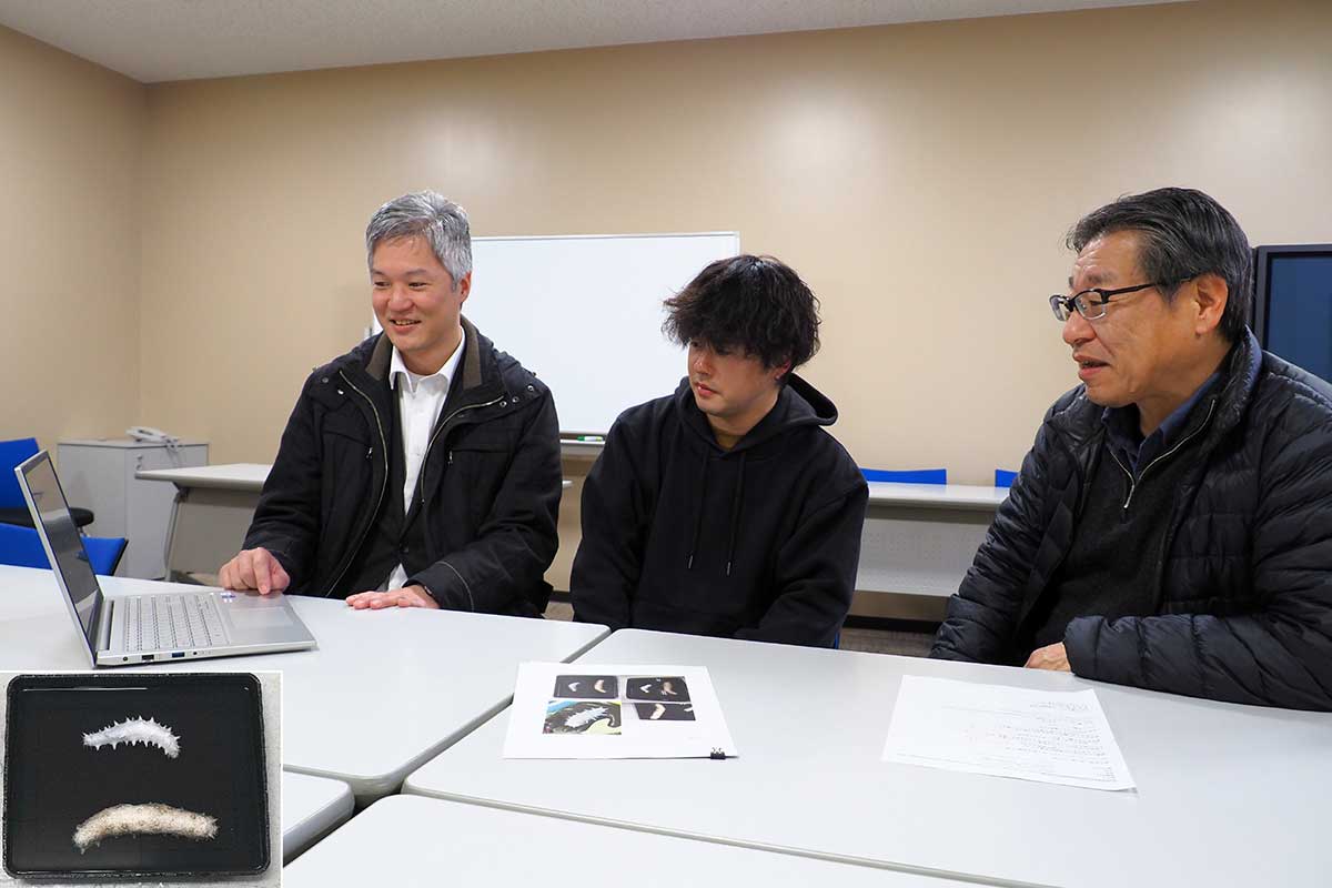 白いナマコの情報を共有する（左から）谷田巌准教授、久保さん、齋藤孝信さん