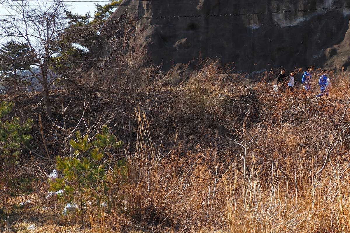 県道を歩いて活動場所に向かう参加者。左下には白い物体が散乱