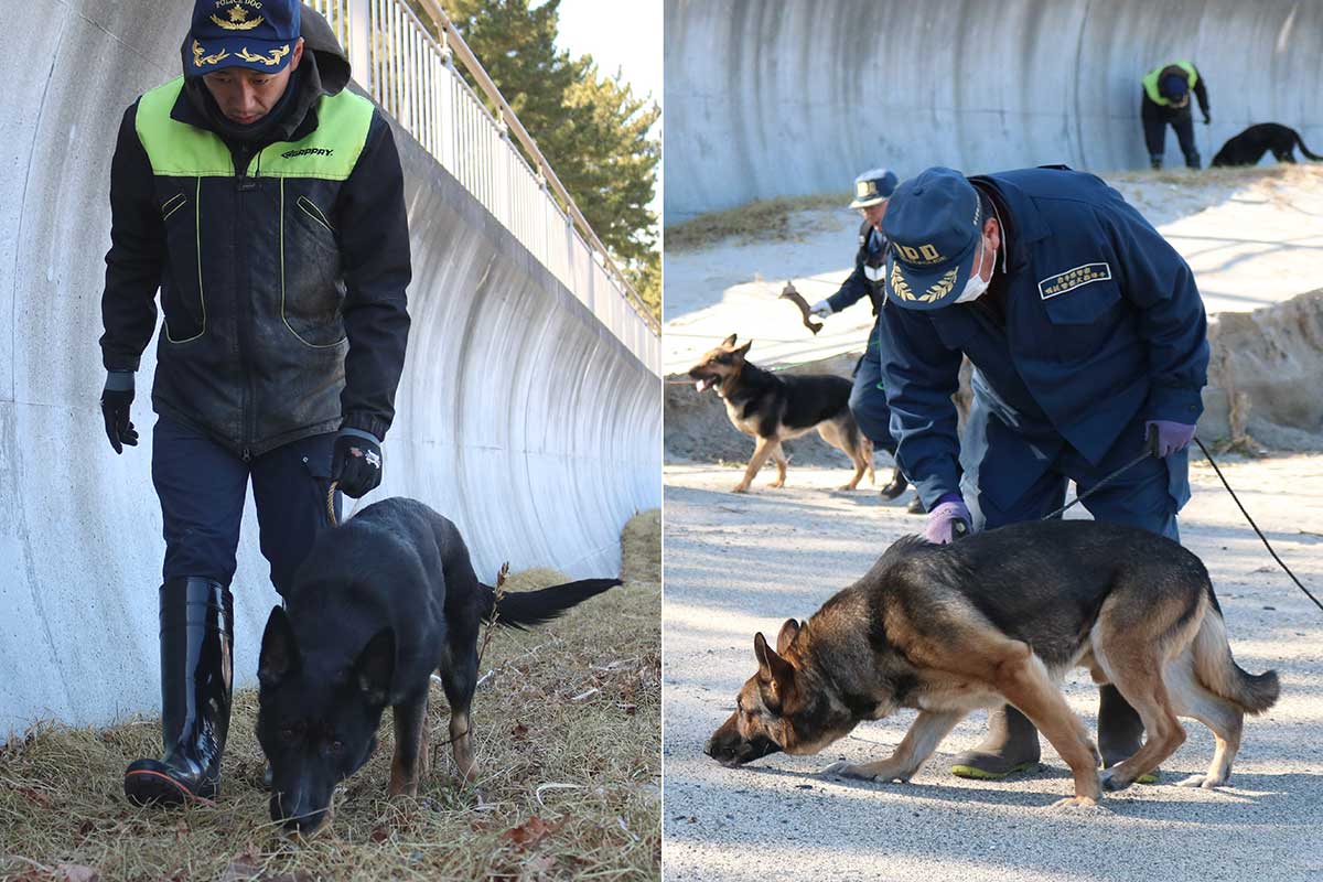 s県警嘱託警察犬指導手会のメンバー6人も訓練を重ねる犬と捜索に協力した