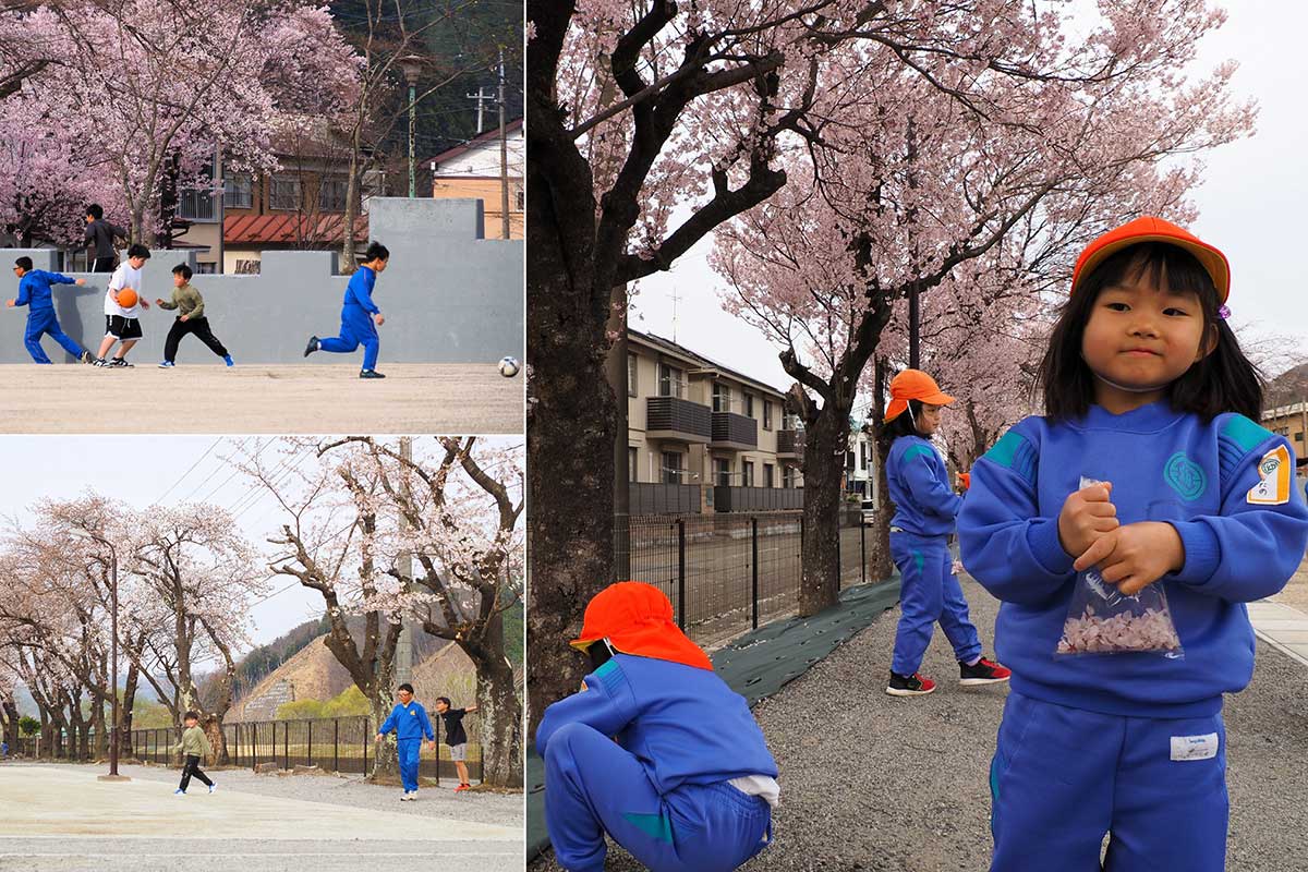 子どもたちは桜の花びらを集めたり、グランドを駆け回ったり