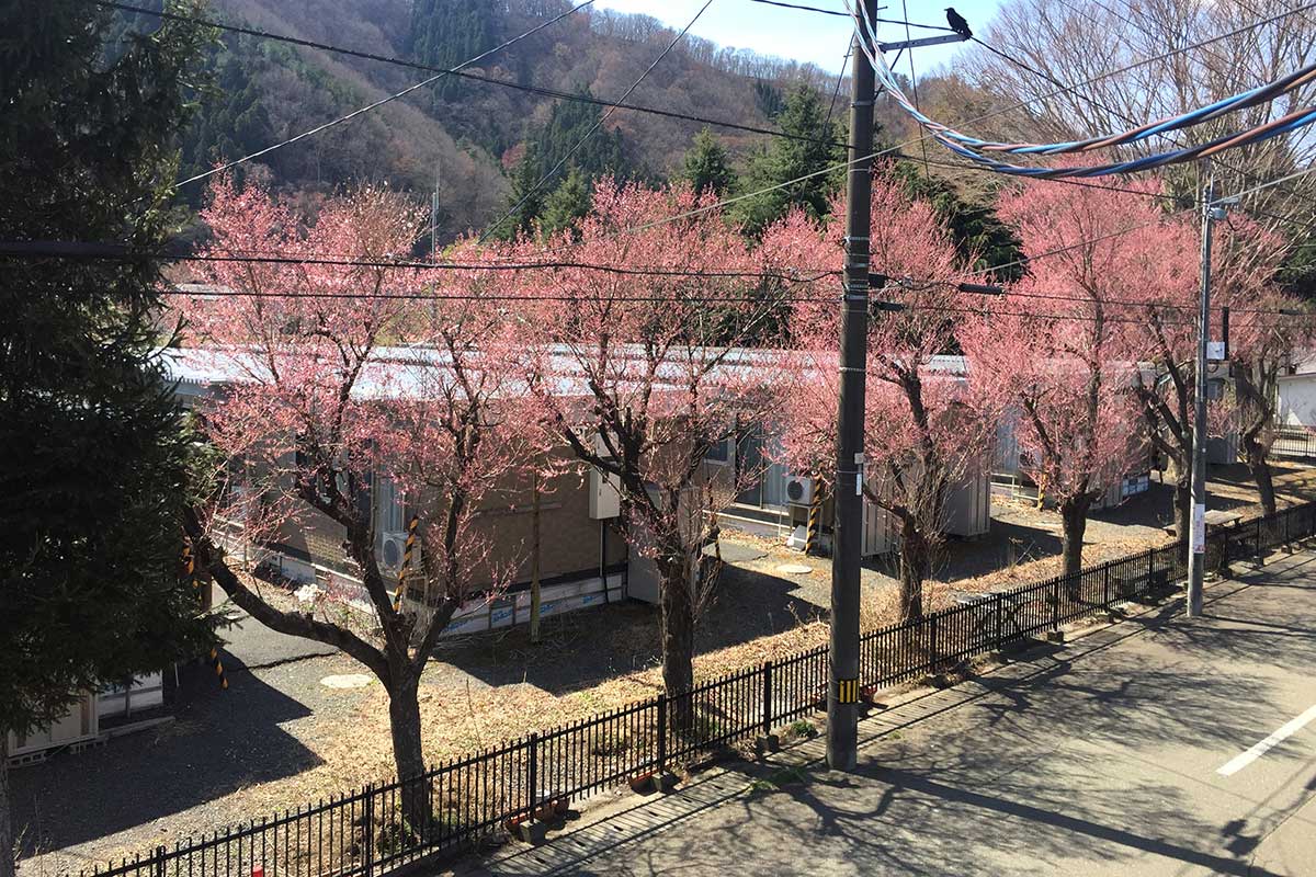 2019年の桜の季節には仮設住宅が並んでいた