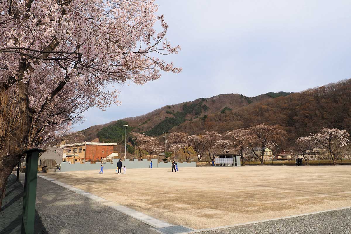 憩いの場としてリニューアルした野田中央公園