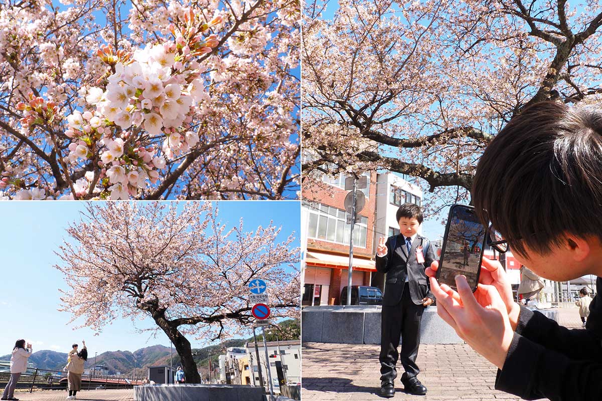 小学校の入学式を終えた親子が記念に写真を撮る光景も