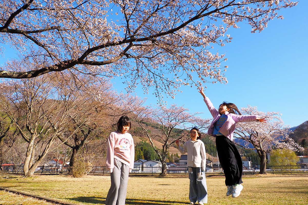 定内公園の桜の木の下でジャンプ！元気な子どもたち